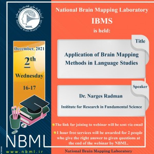 Application of brain mapping methods in language studies